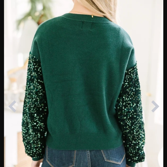 Shopthemint.com Sequin Sleeves Knitted Sweatshirt Holidays Forest Green Sequins - Picture 13 of 13